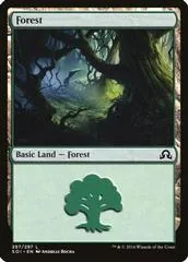 Forest #297
