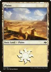 Plains #177