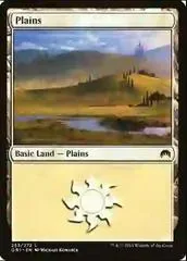 Plains #253