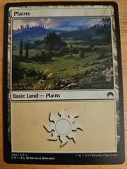 Plains #254