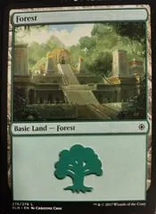 Forest #276