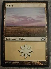Plains #230