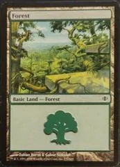 Forest [B] #247