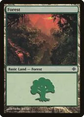 Forest [C] #249