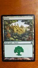 Forest #246
