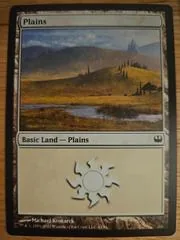 Plains #41