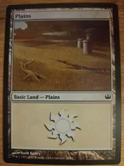 Plains #39