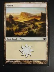 Plains #232