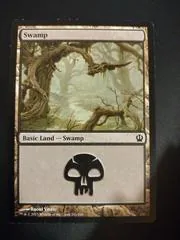 Swamp #241