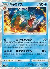 Gyarados #28