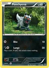 Poochyena #53