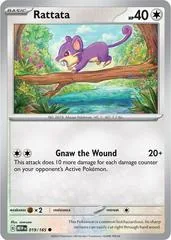 Rattata #19