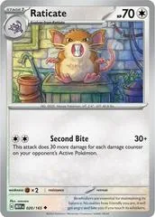 Raticate #20