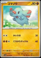 Phanpy #24