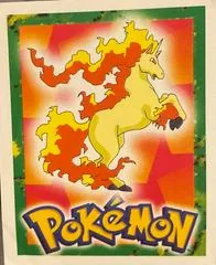 Rapidash #78