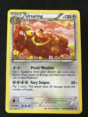 Ursaring #RC16
