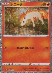 Ponyta #4