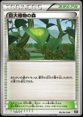 Forest of Giant Plants #154