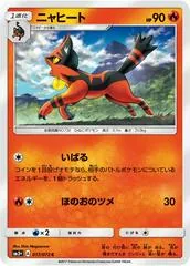 Torracat #17