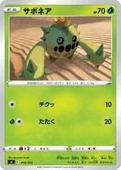 Cacnea #10