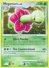 Meganium #13
