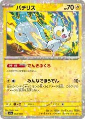 Pachirisu [Reverse Holo] #62