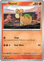 Numel #11