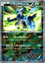 Black Kyurem [Cracked Ice] #216/BW-P