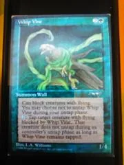 Whip Vine [B]