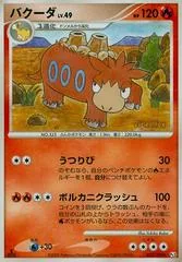 Camerupt [1st Edition] #22