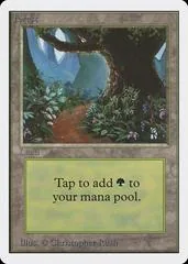 Forest [B]