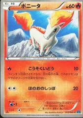 Ponyta #12