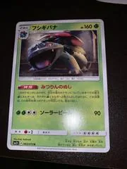 Venusaur #3