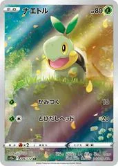 Turtwig #206