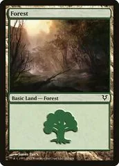 Forest #242