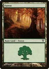 Forest #243