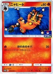 Torracat #313/SM-P