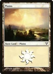 Plains #230
