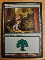 Forest #43