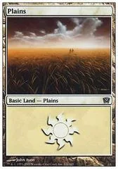 Plains #331