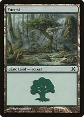 Forest #382