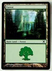 Forest #383