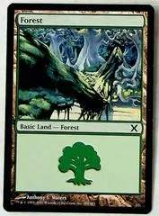 Forest #380