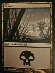 Swamp #296