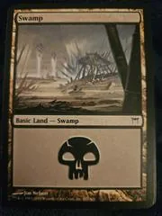 Swamp #297