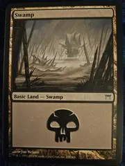 Swamp #298