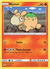 Numel [Reverse Holo] #23