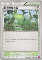 Forest of Giant Plants #79