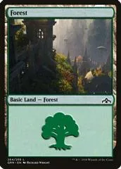 Forest #264