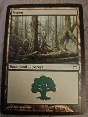 Forest #303